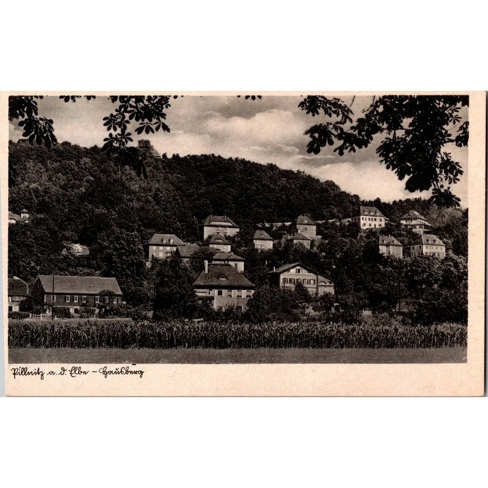 Vintage Pillnitz on the Elbe Black & White Postcard by‎ R. Adam